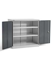 Шкаф инструментальный ДиКом ВЛ-051-01