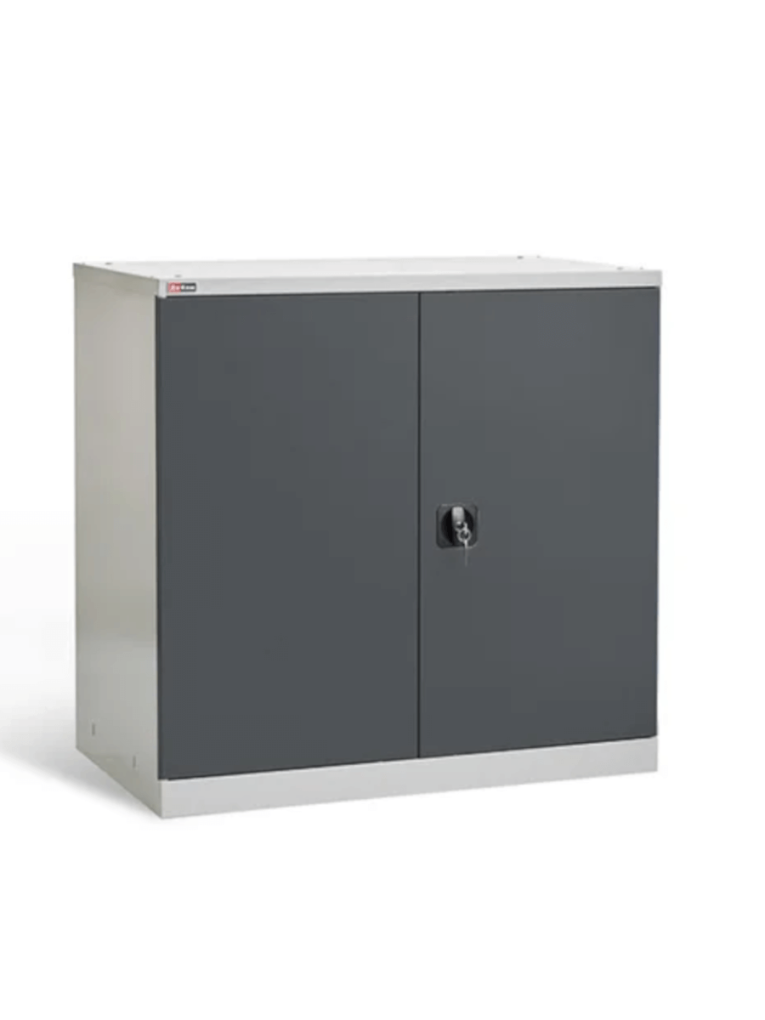 Шкаф инструментальный ДиКом ВЛ-051-01 купить в 